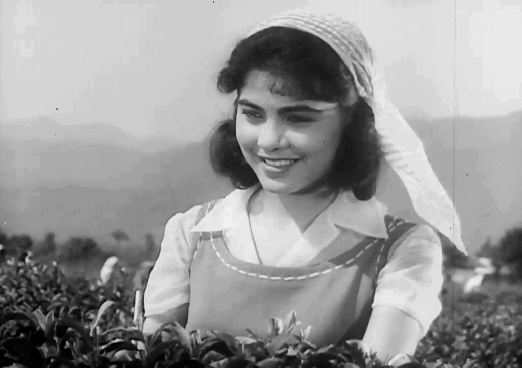 "Ulduz" ("Azerbaijanfilm", 1963).